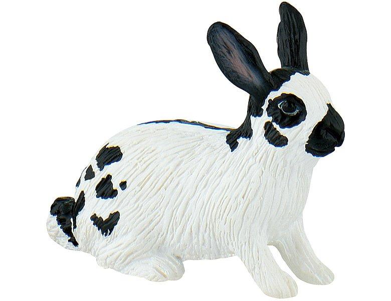 Image of Animal World Hase (Riesenschecke)