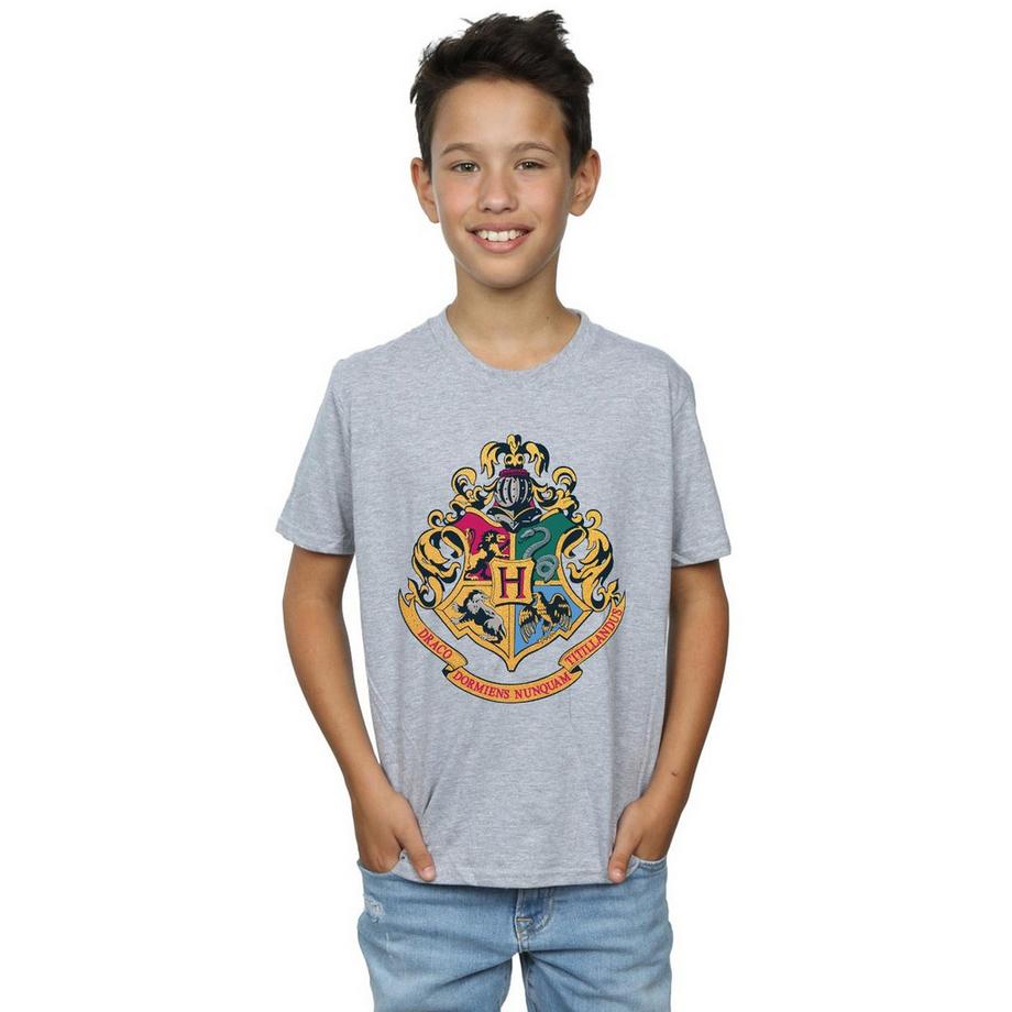 Harry Potter  Tshirt HOGWARTS 