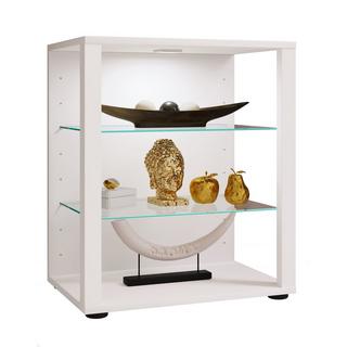VCM Bois verre vitrine de collection vitrine de verre vitrine stand vitrine Glasol S  