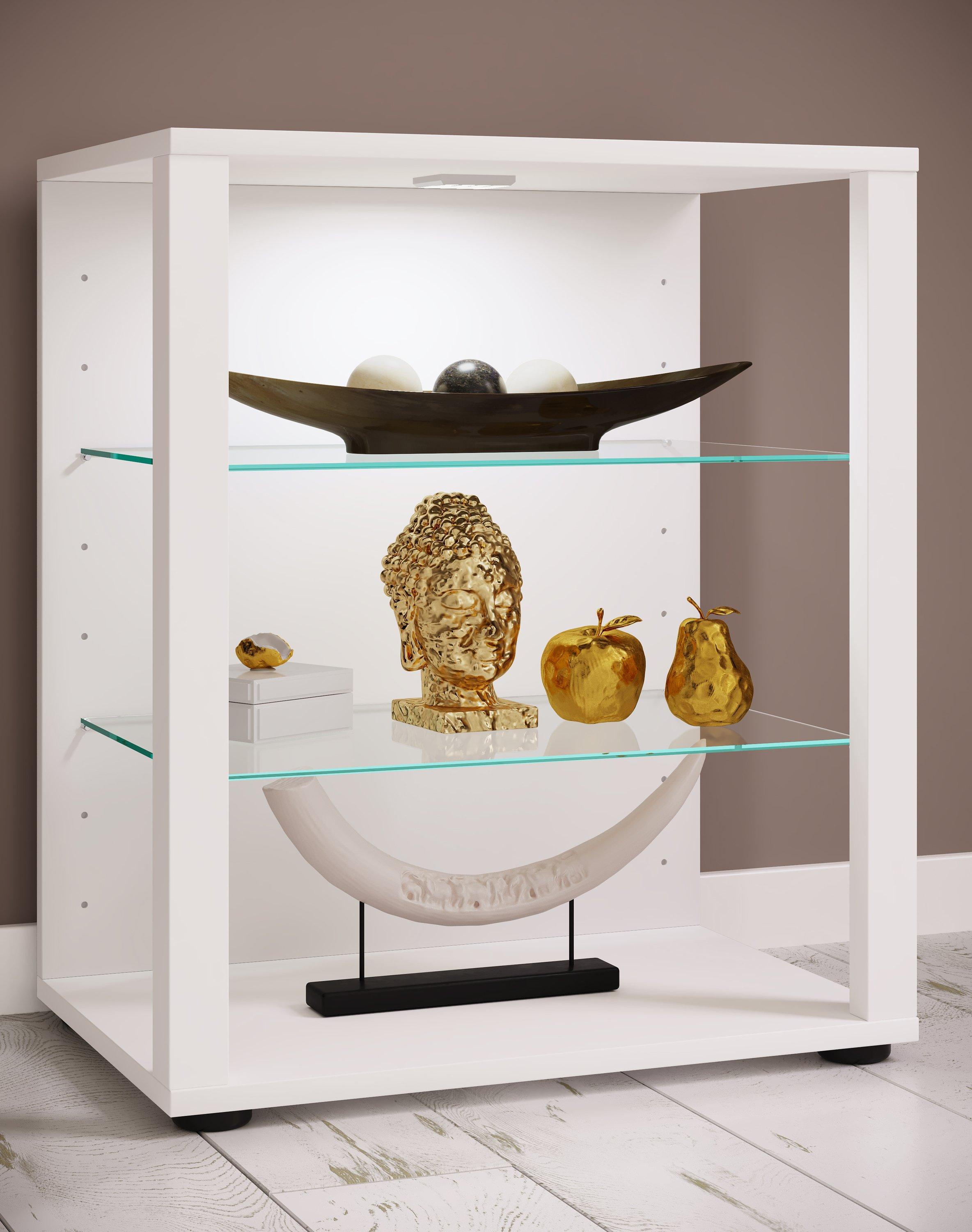 VCM Bois verre vitrine de collection vitrine de verre vitrine stand vitrine Glasol S  