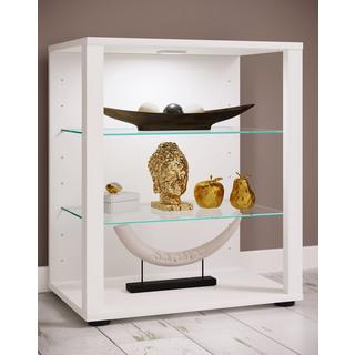VCM Bois verre vitrine de collection vitrine de verre vitrine stand vitrine Glasol S  