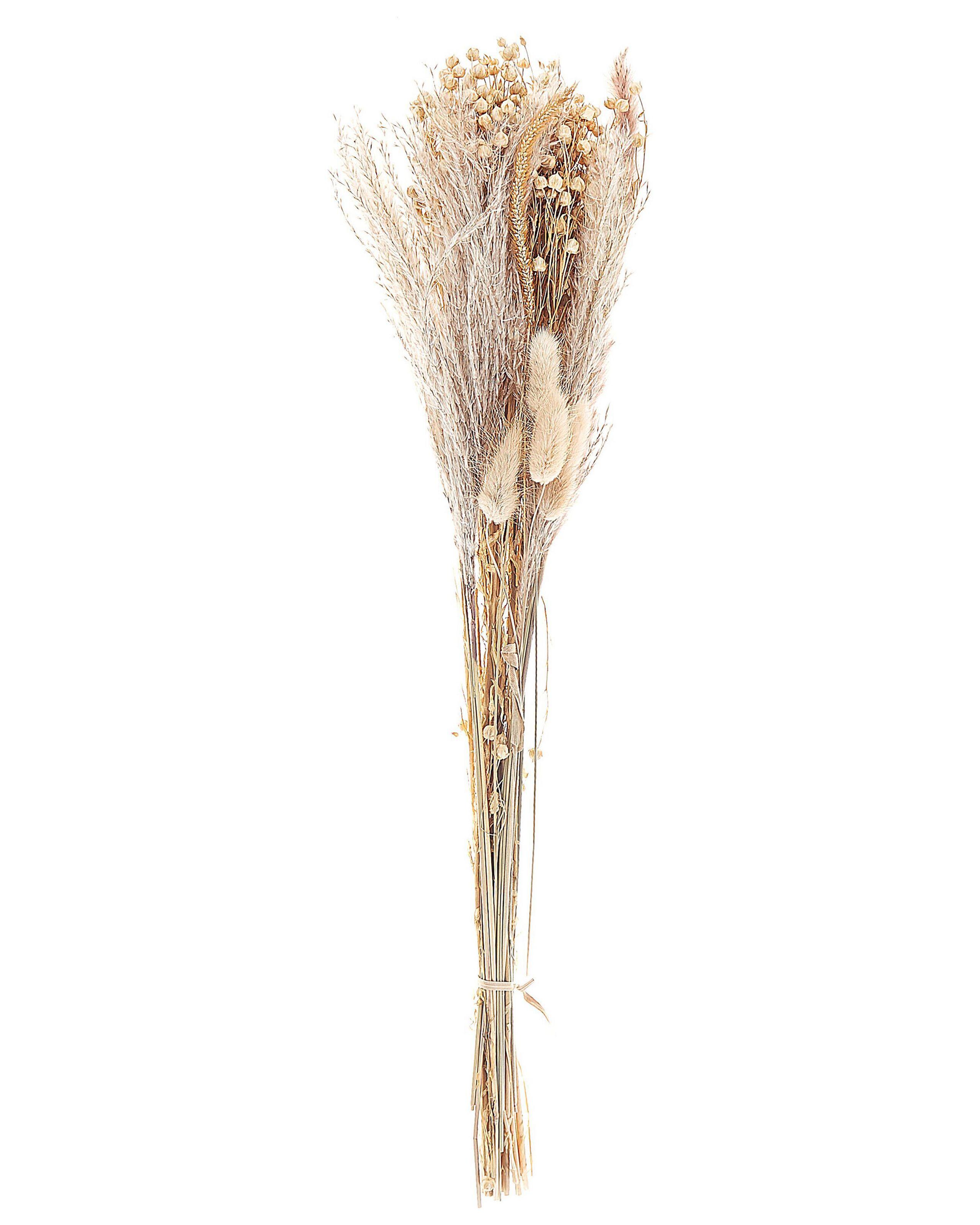 Image of Trockenblumenstrauss Aus Trockenblumen Boho Cabra Unisex Nude ONE SIZE