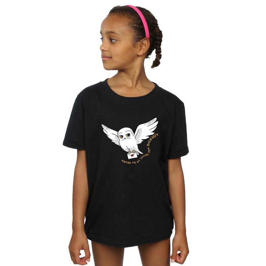 HARRY-POTTER  Tshirt 