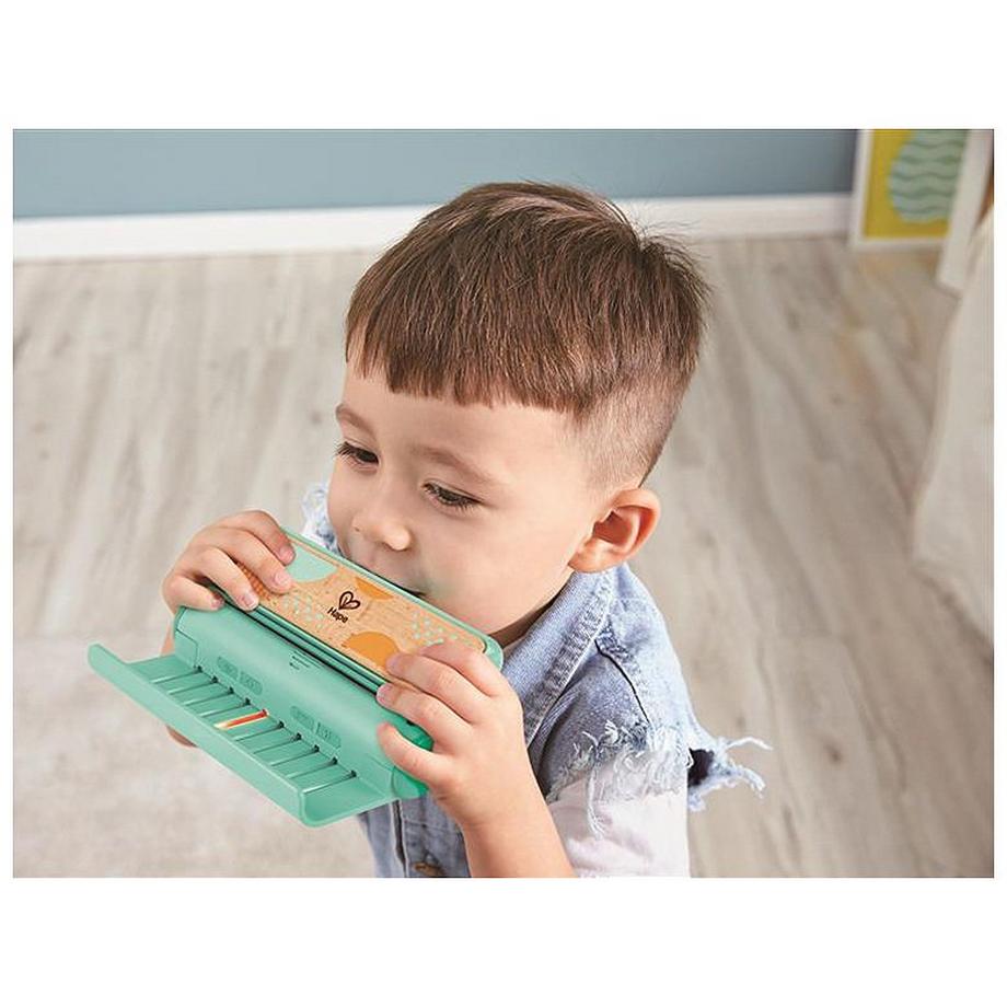 Hape  Kreativ Lern-Harmonika 
