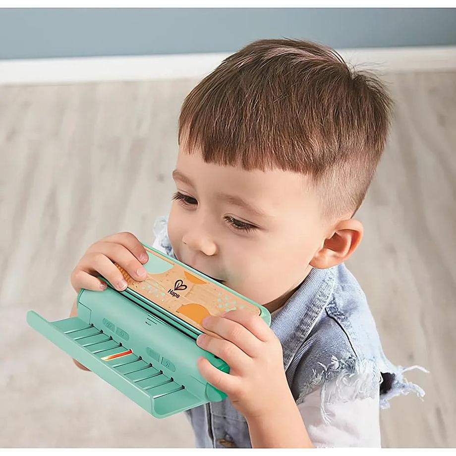 Hape  Kreativ Lern-Harmonika 