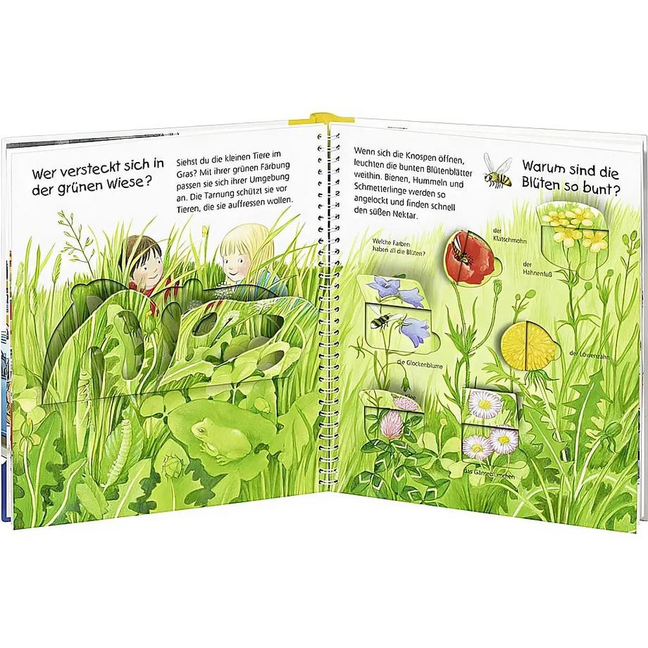 Wieso? Weshalb? Warum? junior, Band 13: Welche Farbe ist das? Rübel, Doris; Rübel, Doris (Illustrationen) Gebundene Ausgabe 