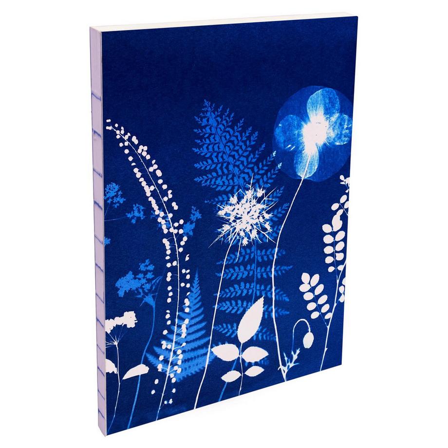 Clairefontaine Quaderno Cyanotype x4  