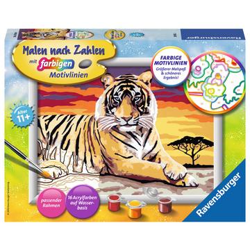 Malen nach Zahlen Majestätischer Tiger