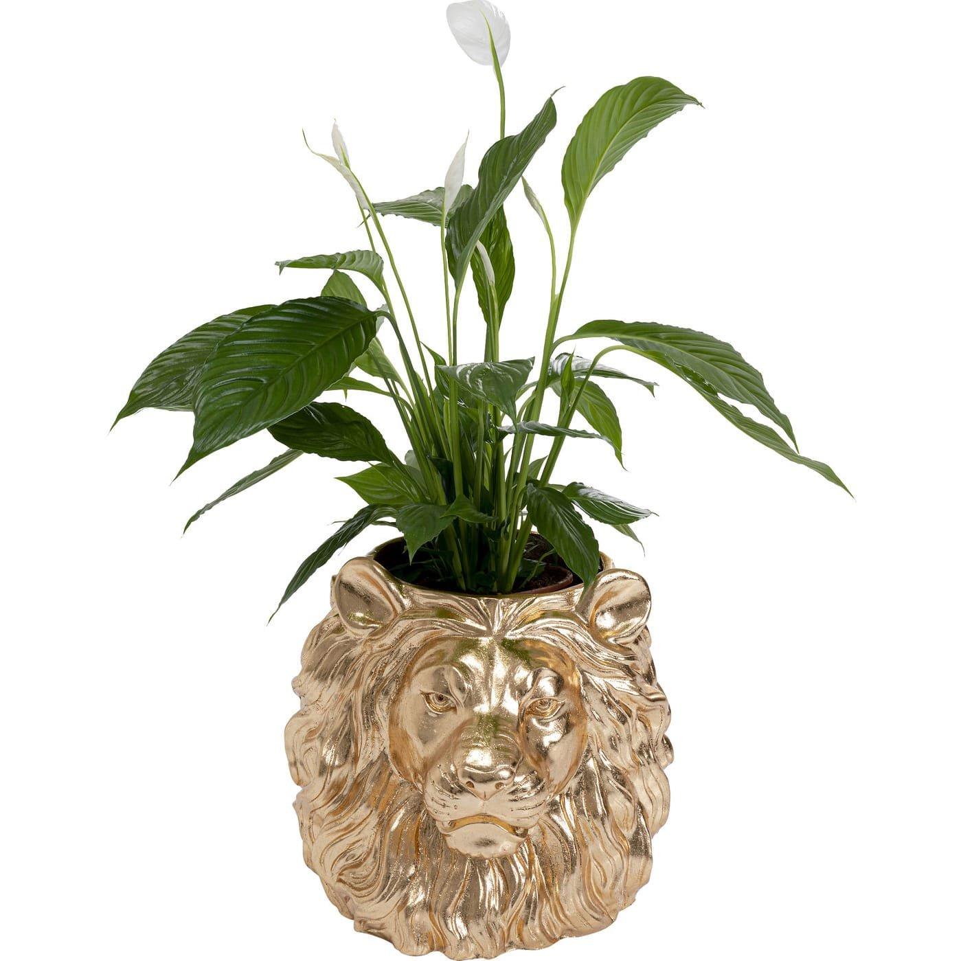 KARE Design Jardinière décorative Lion Gold  