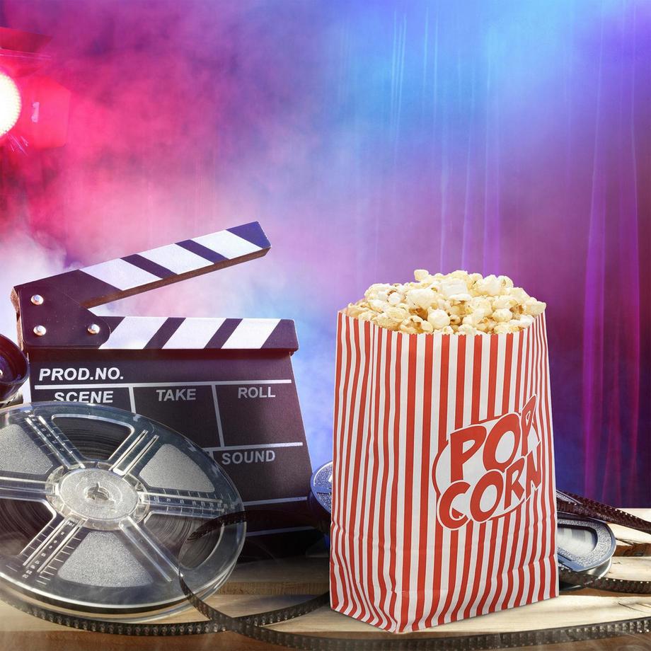 B2X  Popcorntüten mit Retro-Motiven - 48 Stück 