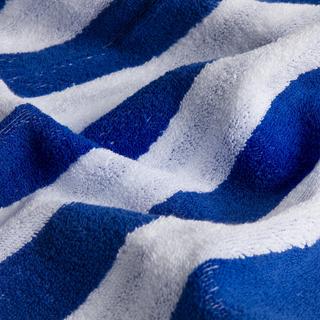 La Redoute Intérieurs Maxi drap de bain éponge 500g  