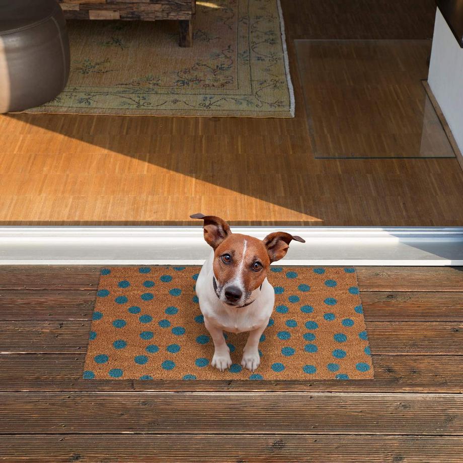 B2X Zerbino in fibra di cocco punteggiato  