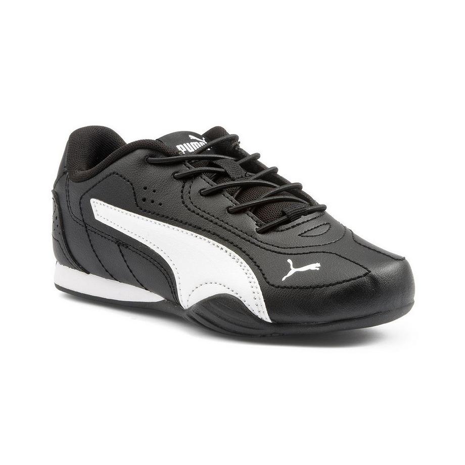 Puma Catch