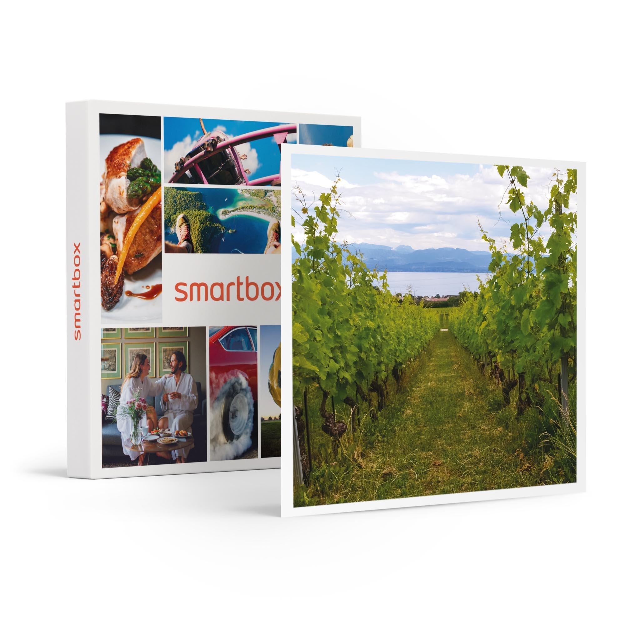 Image of Verkostung Von 4 Weinen Für 2 Personen, Führung Durch Die Weinkeller Und Flasche Zum Mitnehmen Im Aubonne-tal - Geschenkbox Unisex