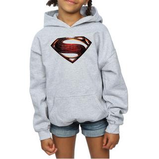 DC COMICS  Justice League Kapuzenpullover 