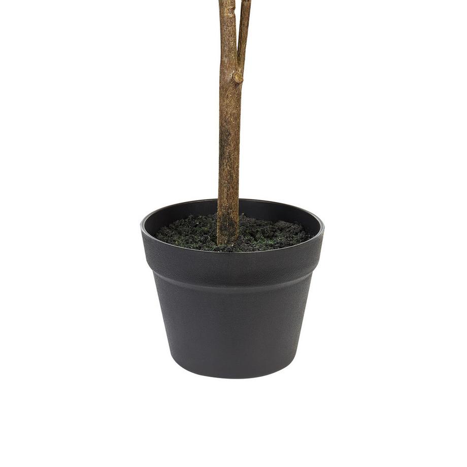 Beliani Plante artificielle en Matière synthétique LEMON TREE  