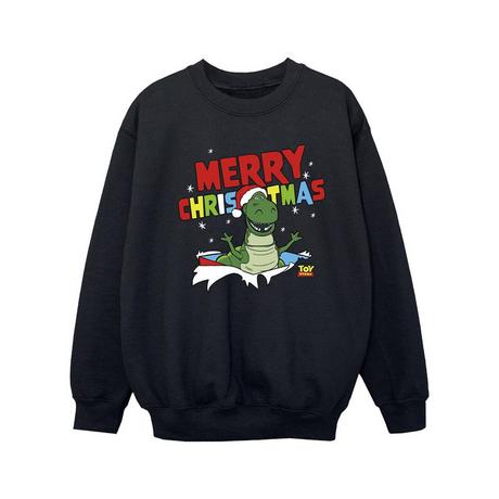 Disney  Toy Story Sweatshirt 