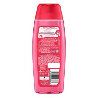 Fa  Set 5er Dusche 250ml Fiji Dream 