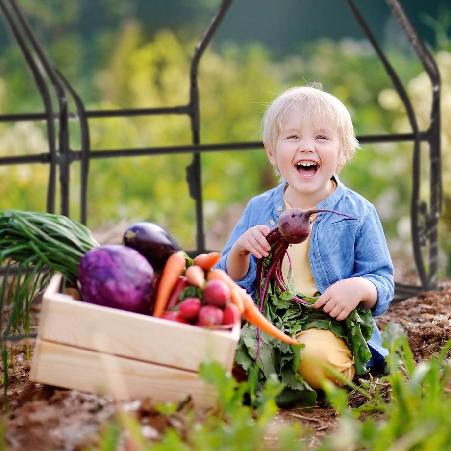 B2X Serra in PVC con 2 porte  