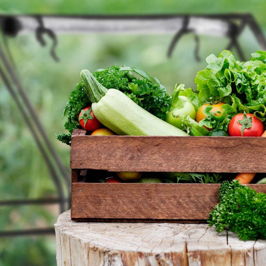 B2X Serra in PVC con 2 porte  