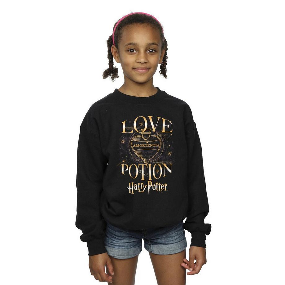 Harry Potter  Sweatshirt 