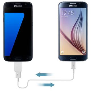 SAMSUNG  Adaptateur Samsung micro USB / USB OTG 