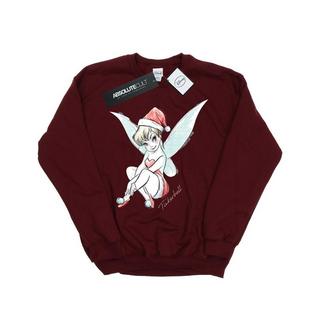 Disney  Fairy Sweatshirt 