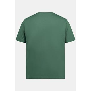 JP1880  T-shirt Basic en coton peigné, col rond vert nuageux 