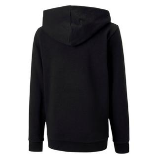 PUMA  Sweatshirt à capuche enfant  Team Goal 23 Casuals 