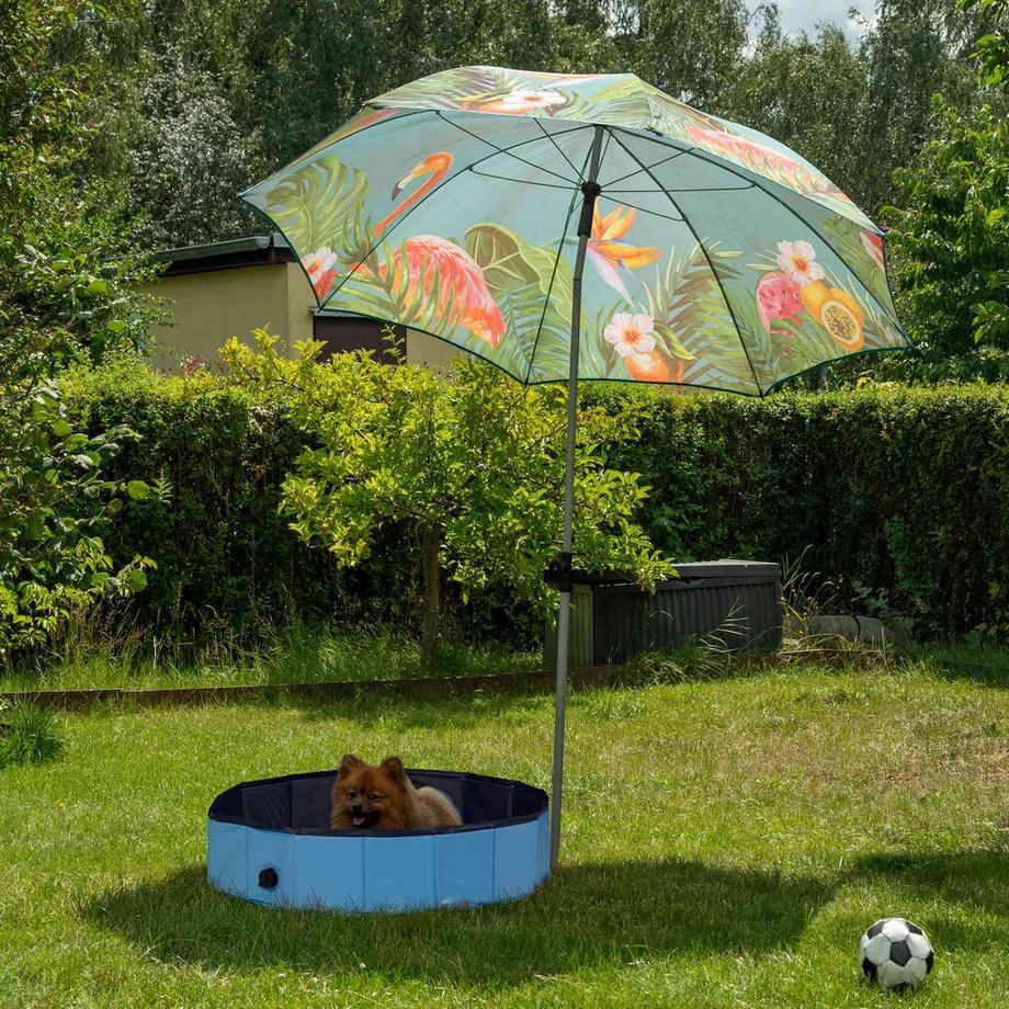 B2X  Hundepool 80x20 cm 