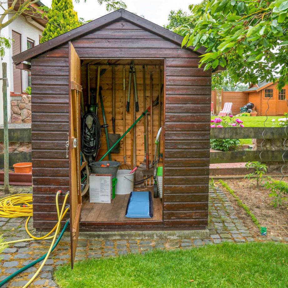 B2X  Hundepool 80x20 cm 