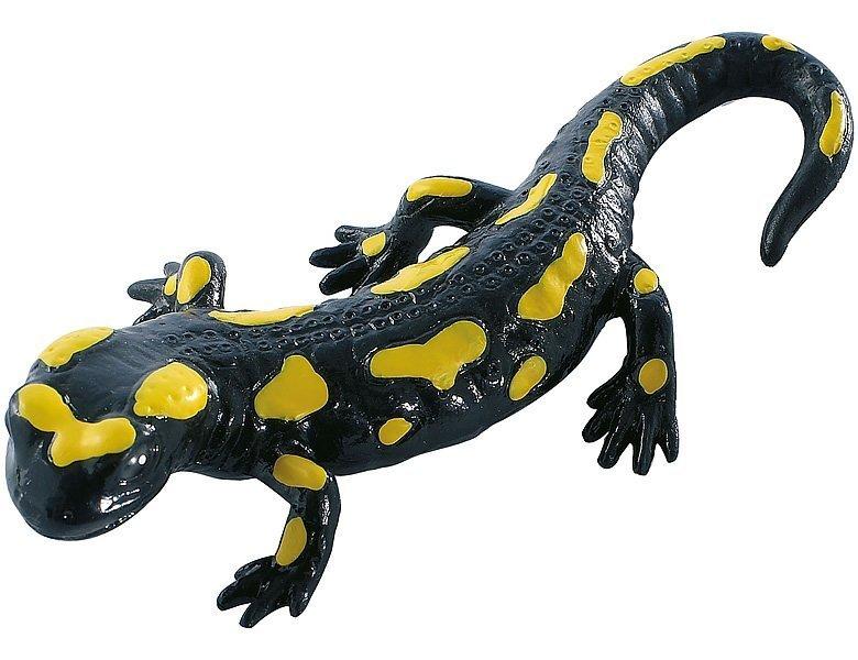 Image of Animal World Feuersalamander
