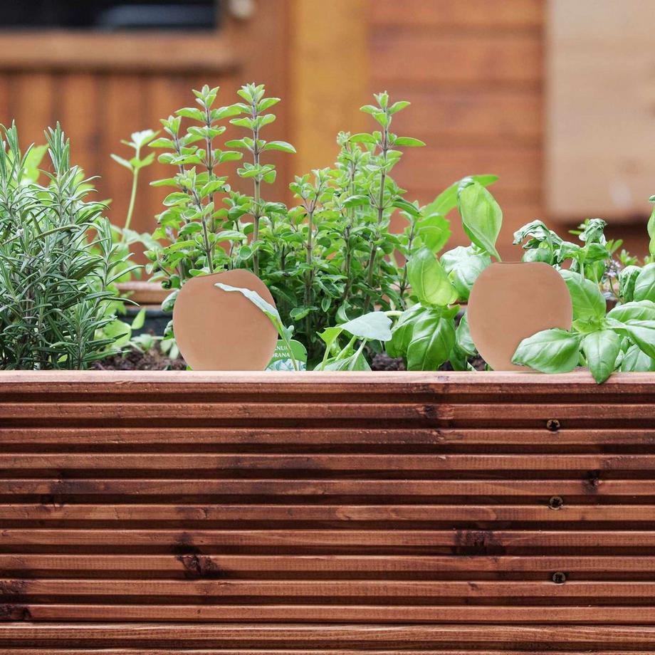 Northix  Tonkegel zur Bewässerung im 4er Set 