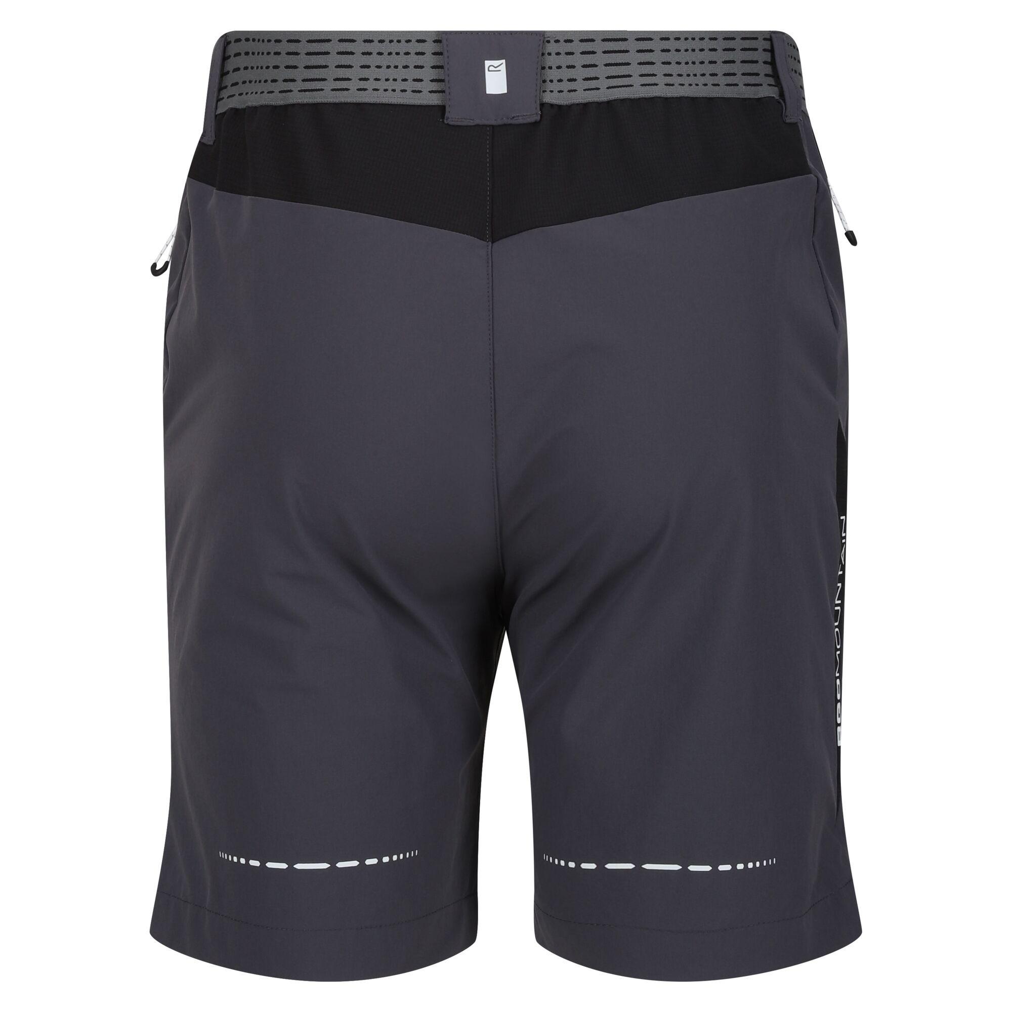 Regatta  Mountain II Shorts 