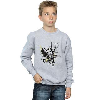 DC COMICS  Sweatshirt 