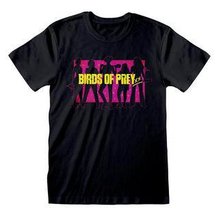 Birds Of Prey  Silhouette T-Shirt 