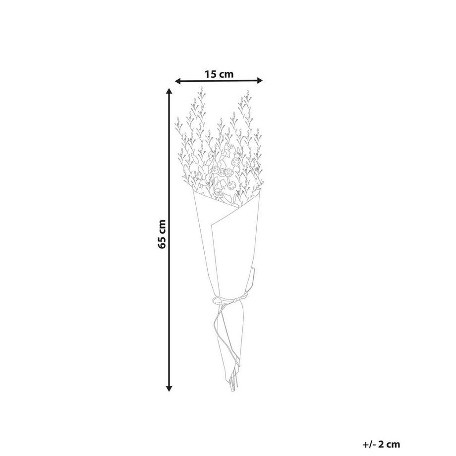 Beliani  Mazzo di Fiori Secchi en Fiori Secchi Boho AZUEL 