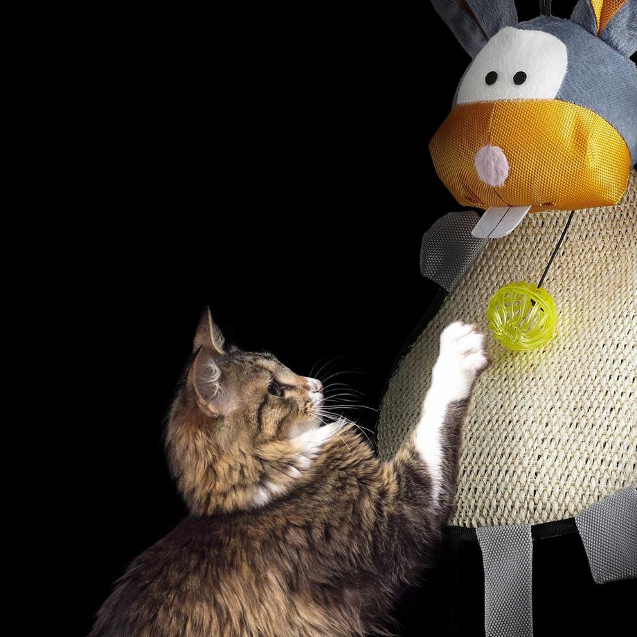 B2X  Tapis à gratter pour chats 