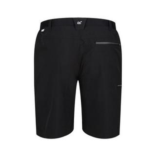 Regatta  Short XERT 