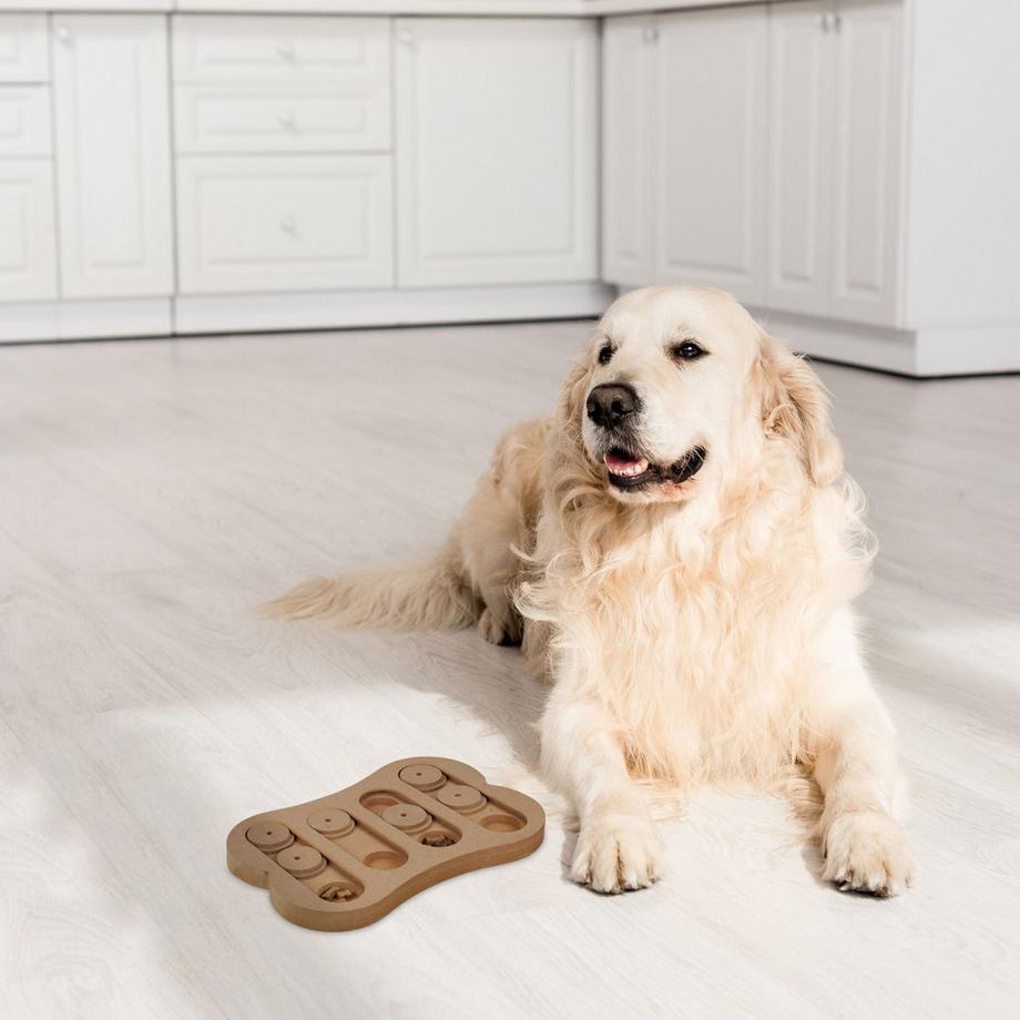 B2X  Jouets intelligents pour chiens 