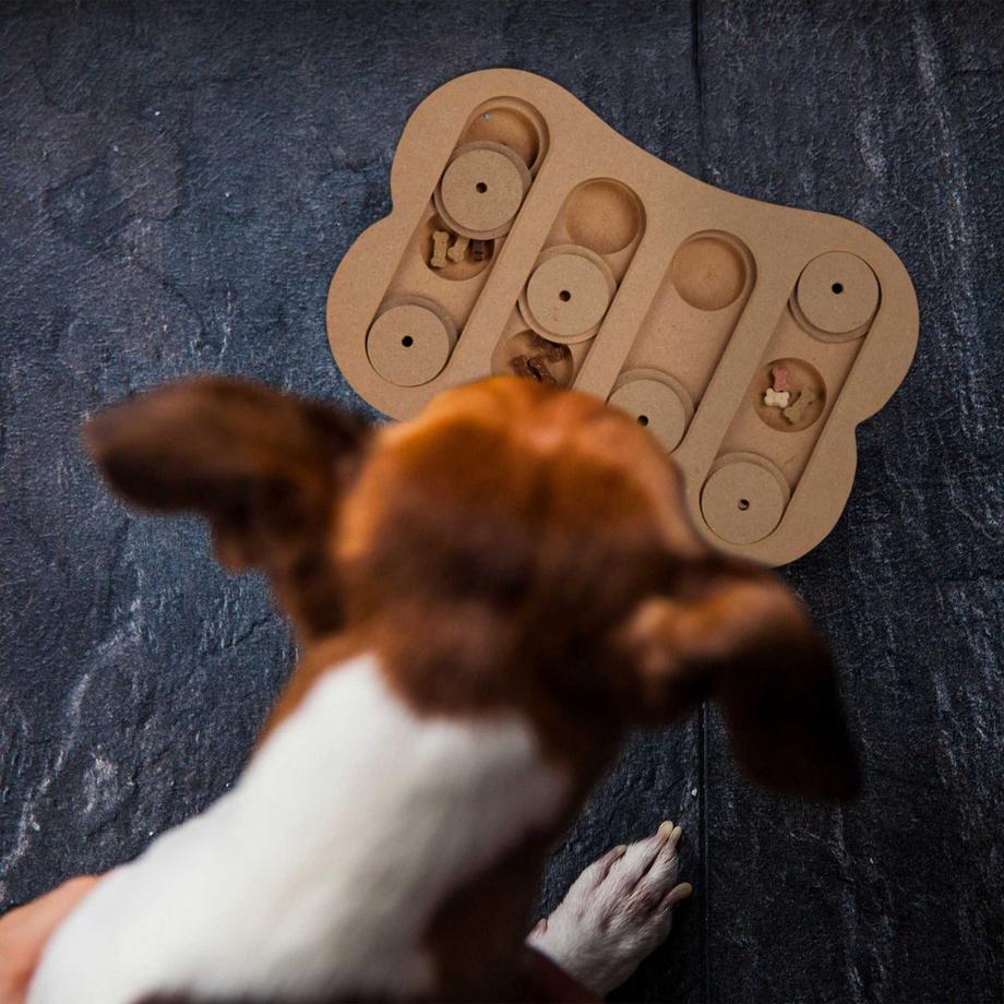 B2X  Jouets intelligents pour chiens 