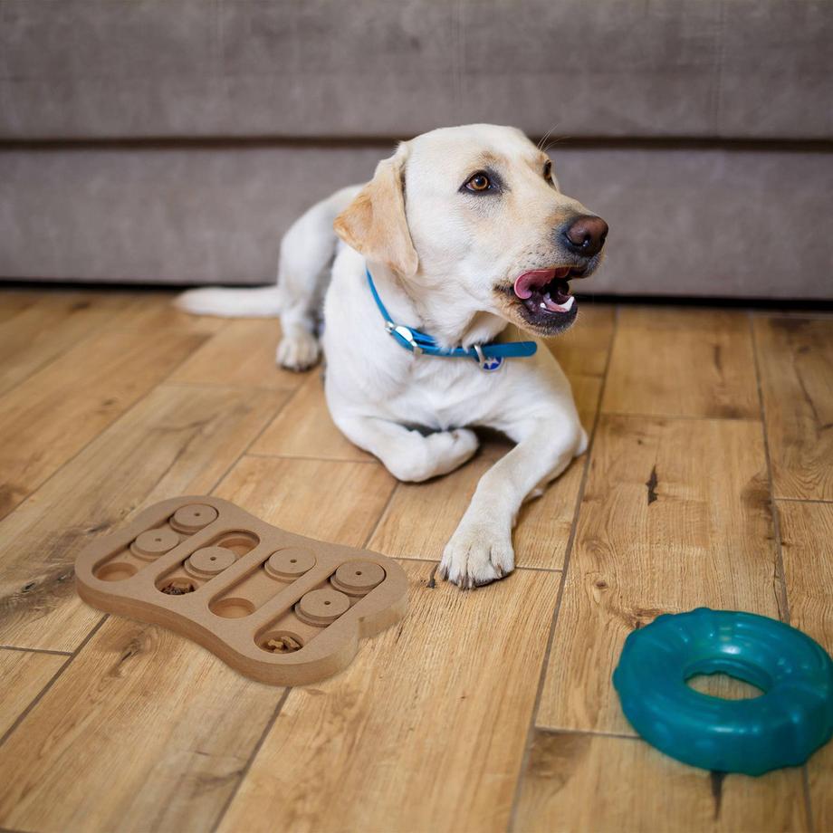 B2X  Jouets intelligents pour chiens 