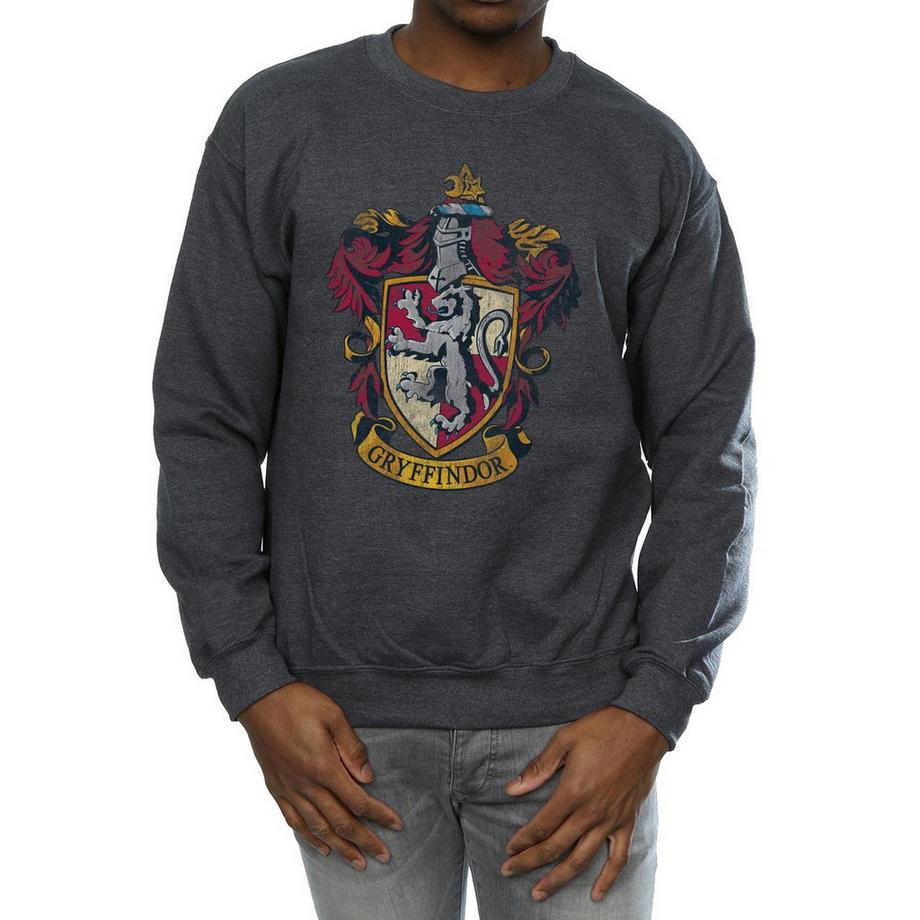 Harry Potter Gryffindor Stemma Felpa  