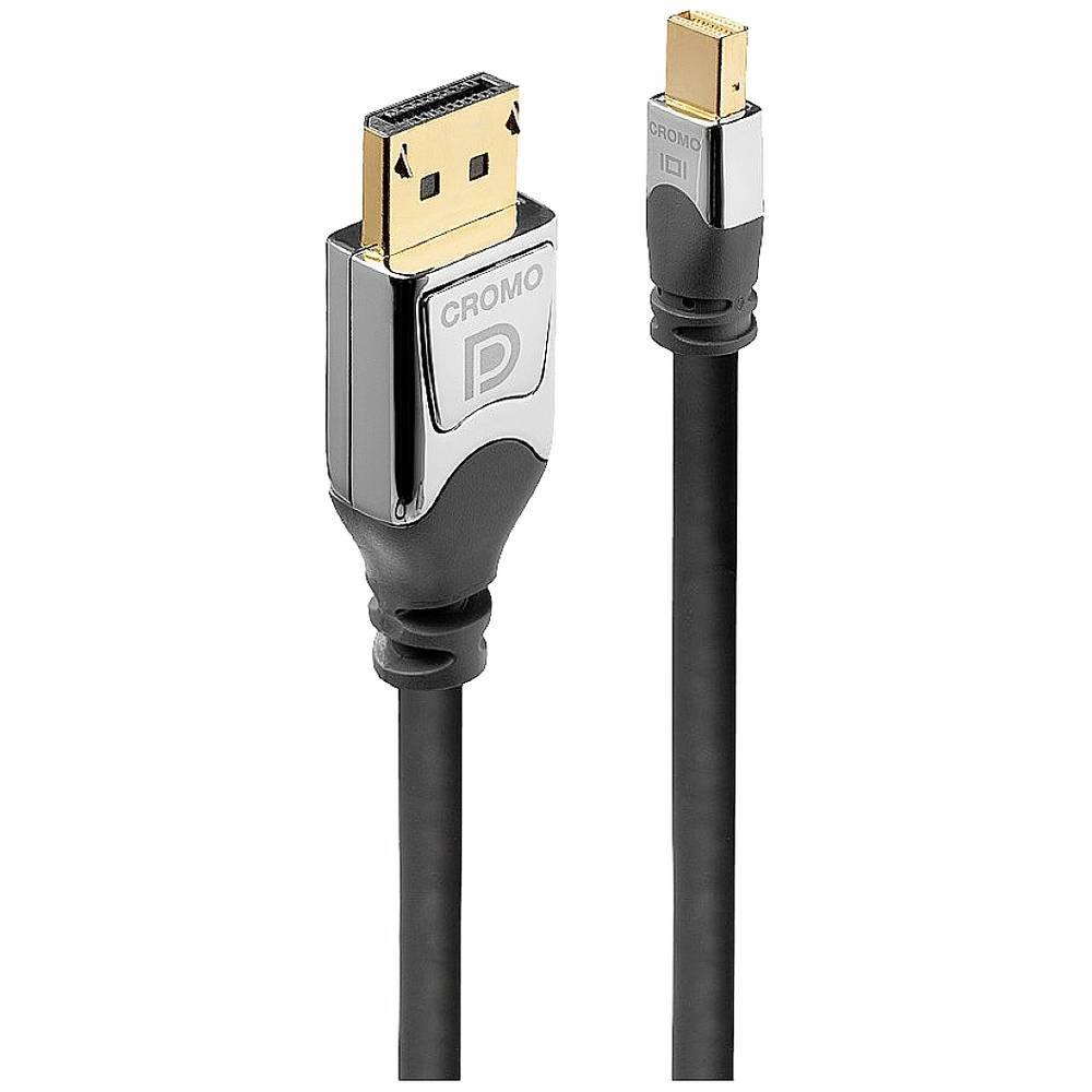 Image of DisplayPort-Kabel 1 m Mini DisplayPort