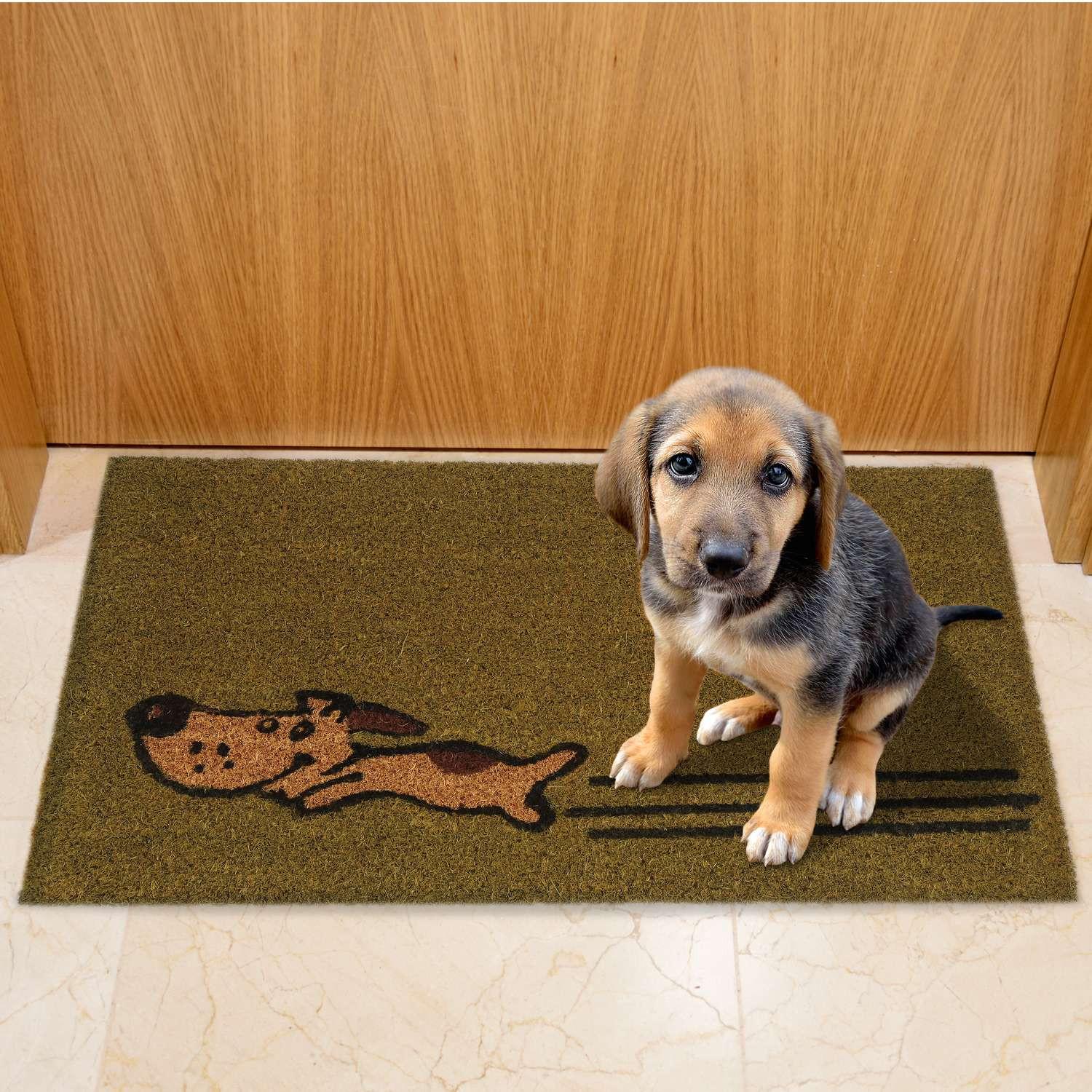 Northix Zerbino in fibra di cocco per cani che corrono  