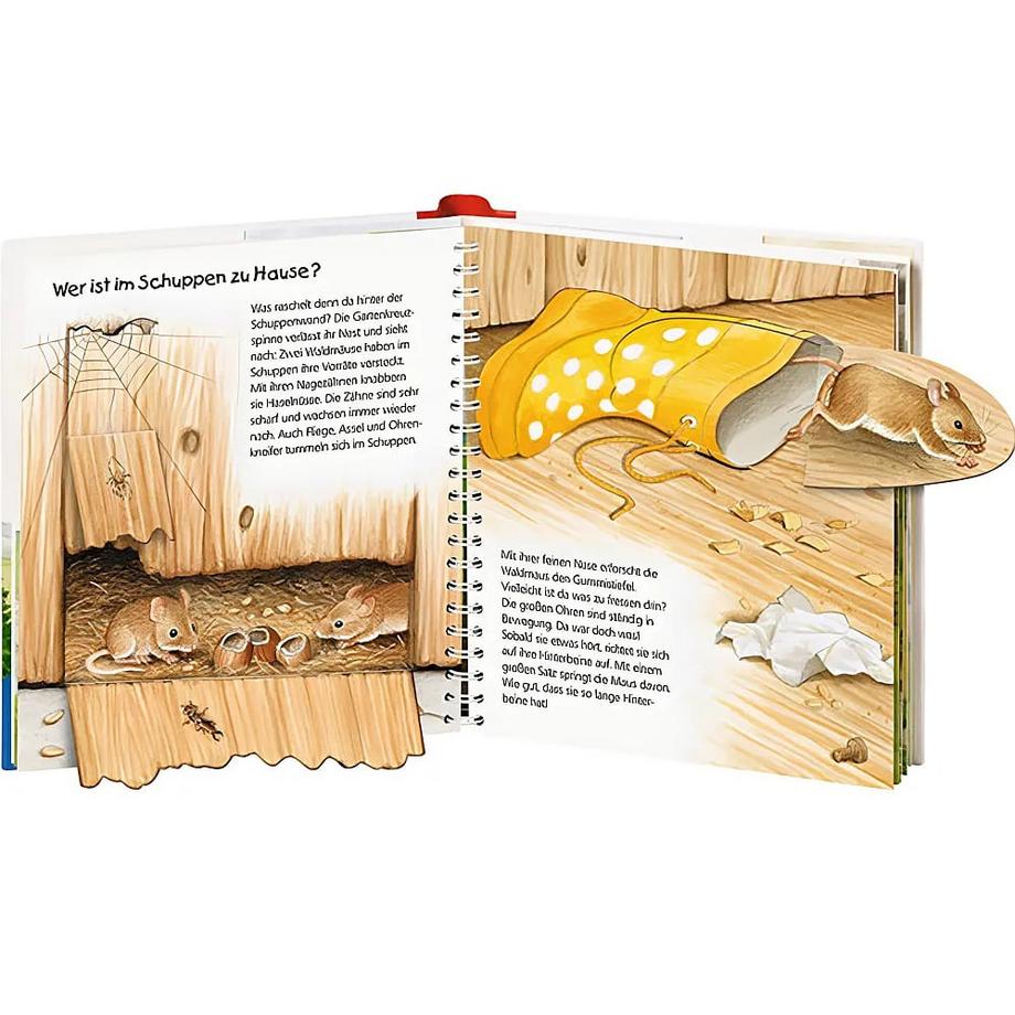 Wieso? Weshalb? Warum? junior, Band 49: Wer lebt im Garten? Mennen, Patricia; Walentowitz, Steffen (Illustrationen) Gebundene Ausgabe 