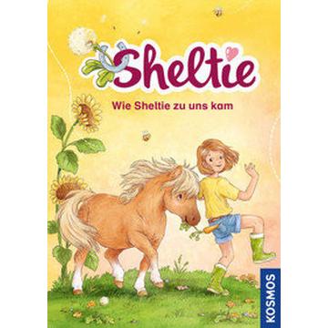 Sheltie - Wie Sheltie zu uns kam