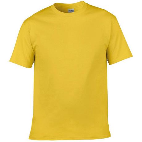 Gildan  Soft Style TShirt 