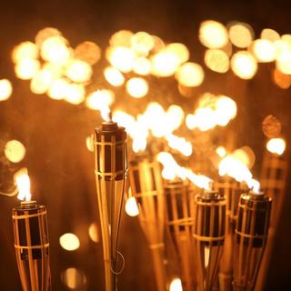 B2X Bambusfackeln 10er Set  