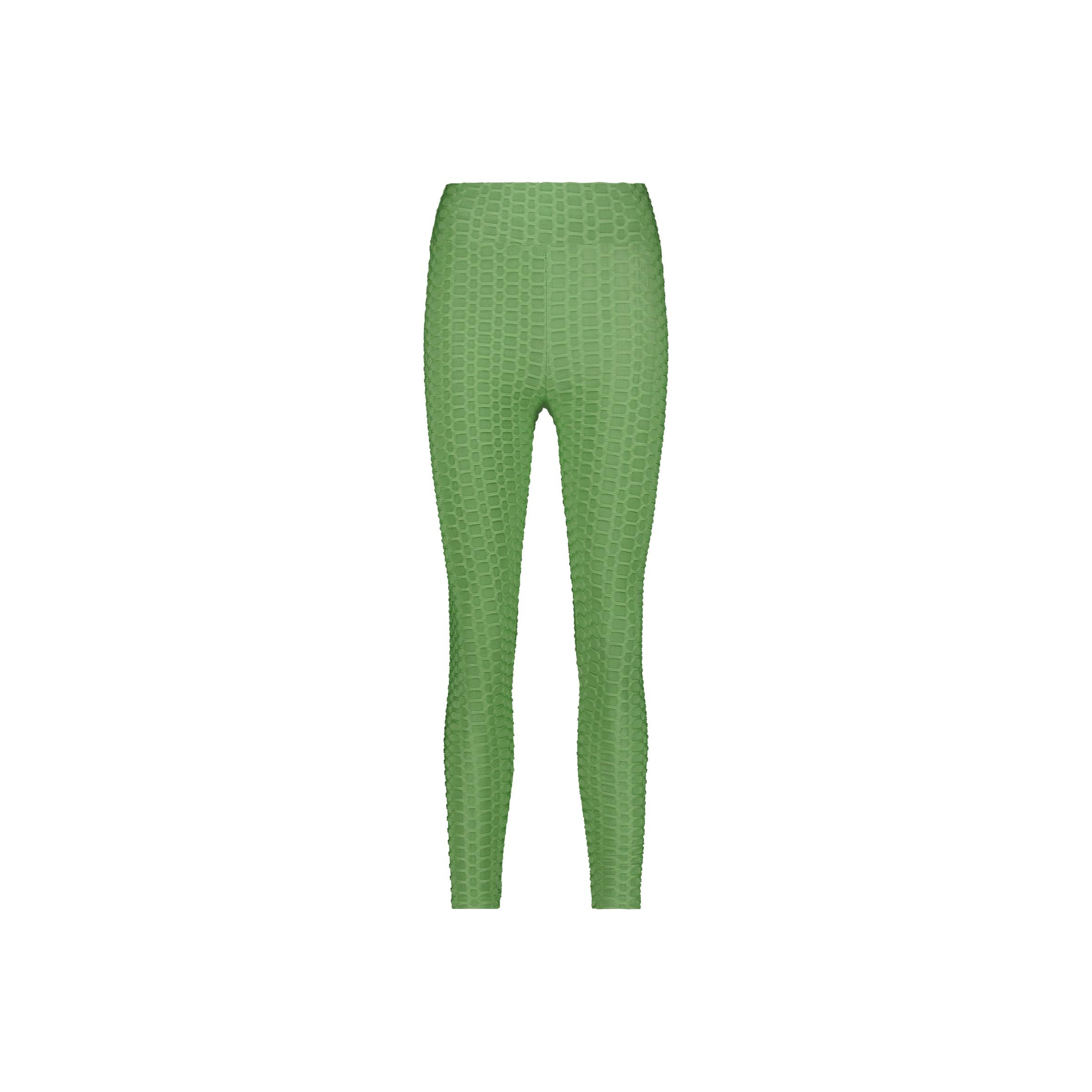 STEVE MADDEN  knitter-leggings für en steve adden axiize 